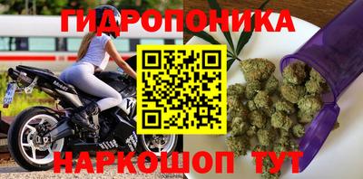 ПСИЛОЦИБИНОВЫЕ ГРИБЫ Гусиноозёрск