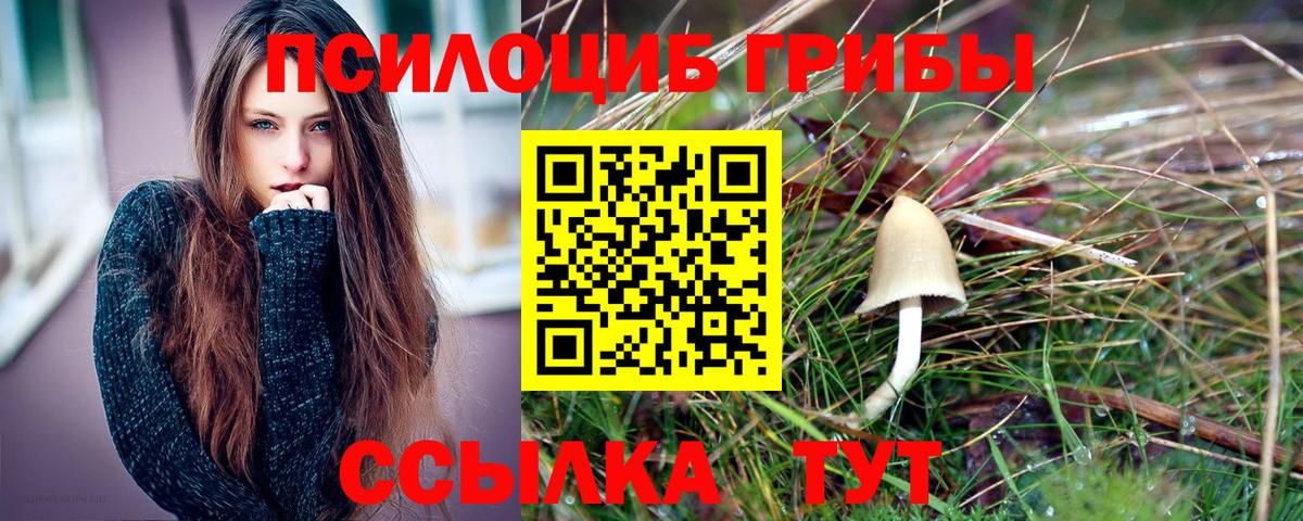 Псилоцибиновые грибы Psilocybe  Вход с VPN  Орехово-Зуево 