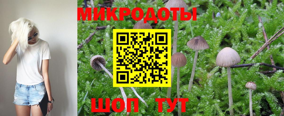 Галлюциногенные грибы мухоморы Орехово-Зуево